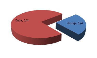 gruaja 1