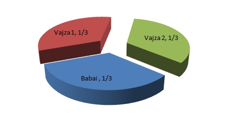 vajza 2