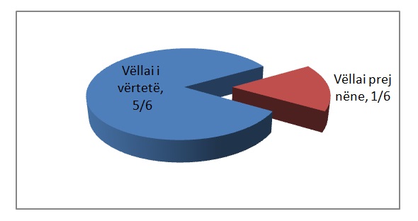 vëllai dhe motra prej nëne 1