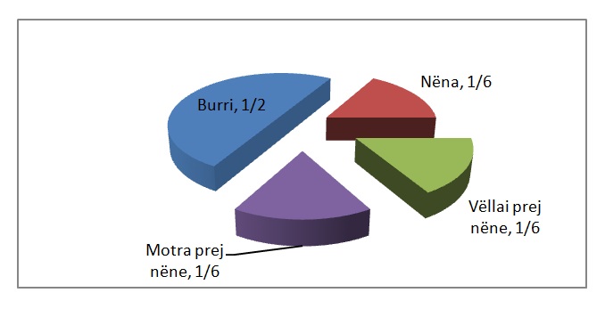 vëllai dhe motra prej nëne 2